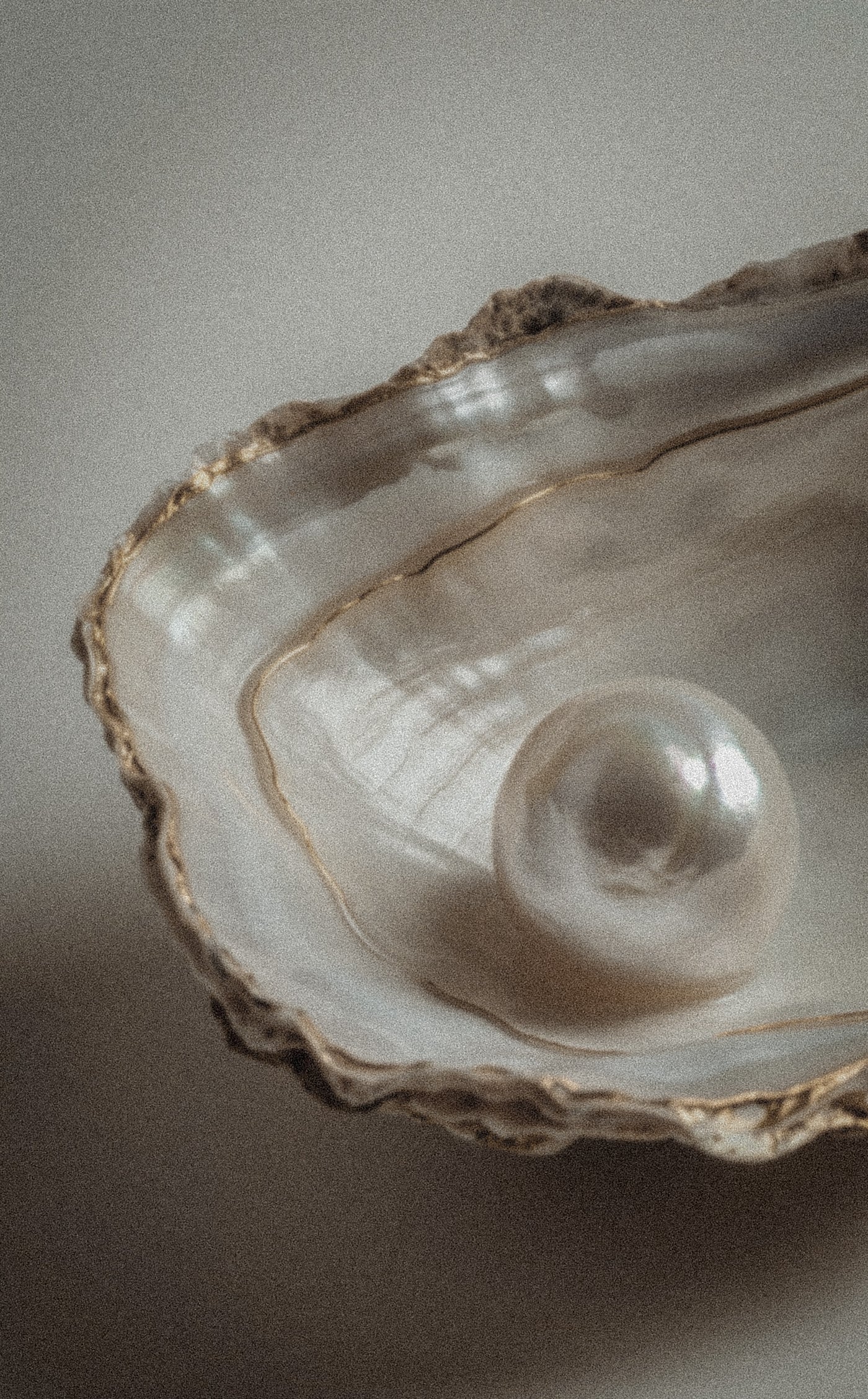 A single pearl resting in an open oyster shell